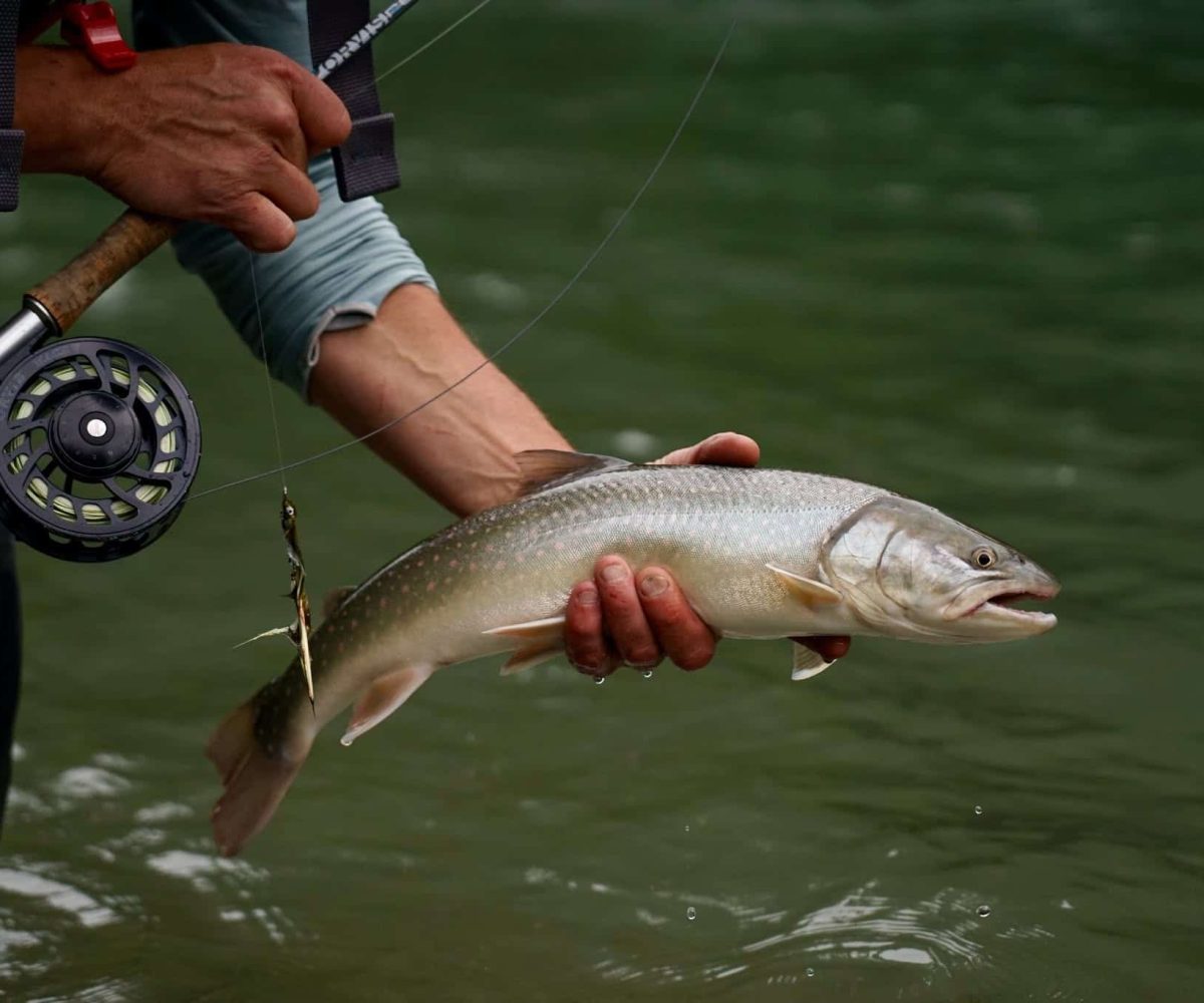 Crescent Spur fishing