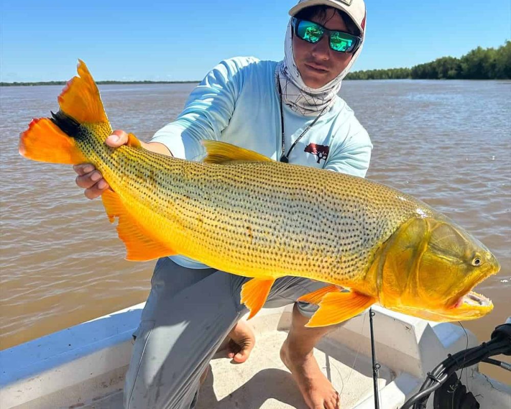 Golden Dorado - Don Joaquín River Lodge