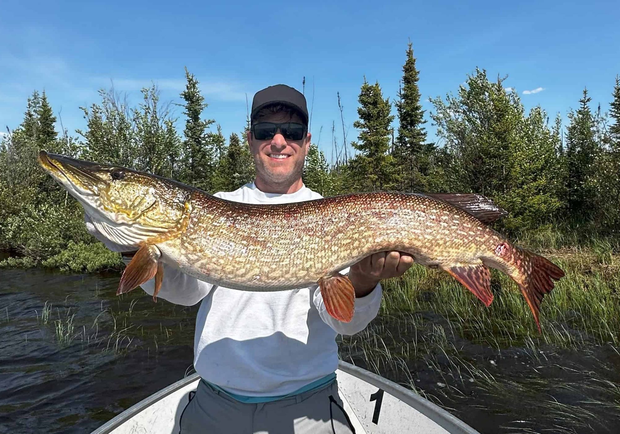 Pike fishing at Hatchet Lake Lodge in Saskatchewan Canada
