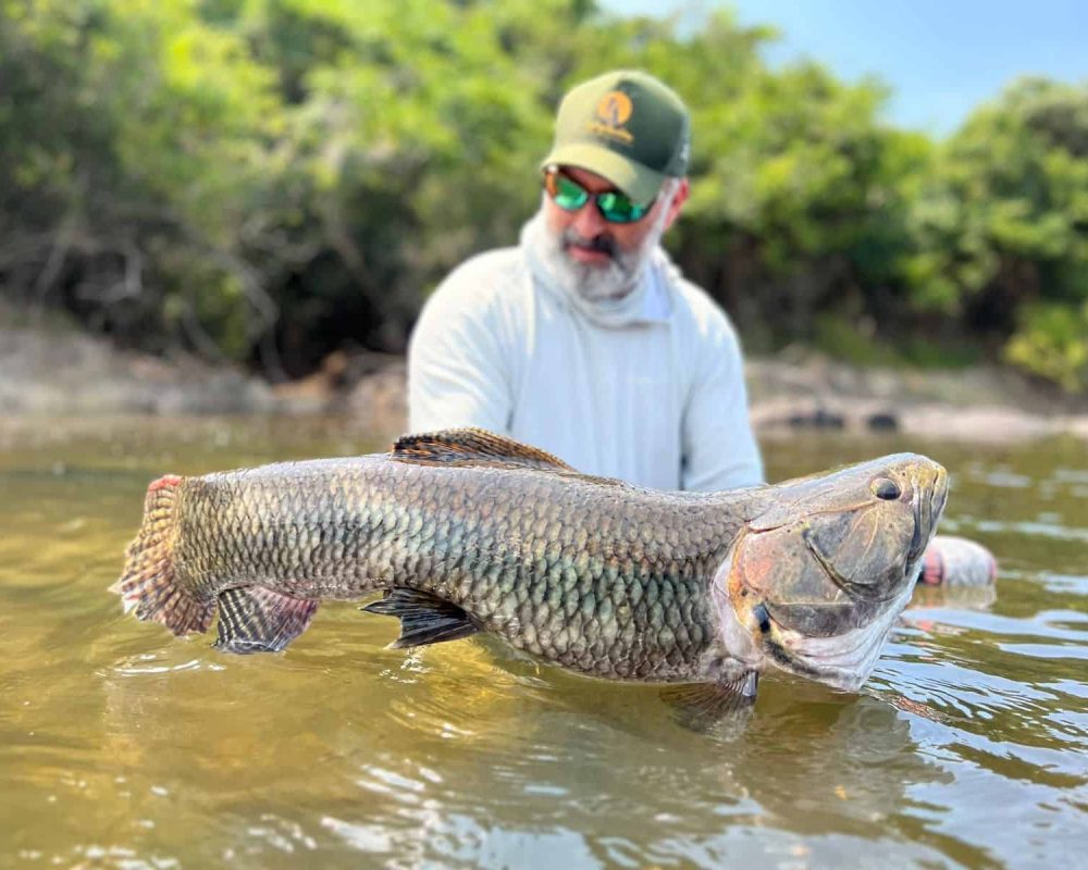 Trophy Wolffish from the Amazon