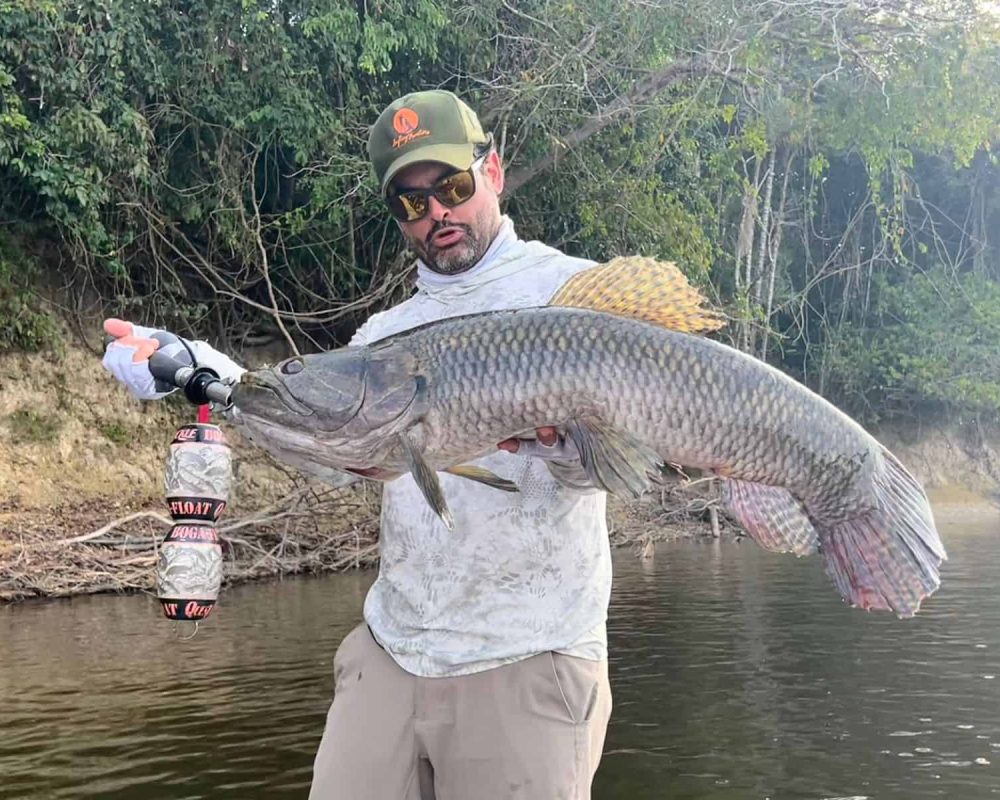 Wolffish in Brazil