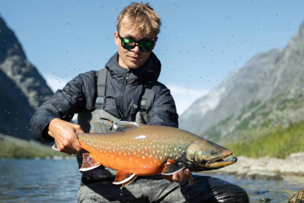 Arctic char fishing in Greenland
