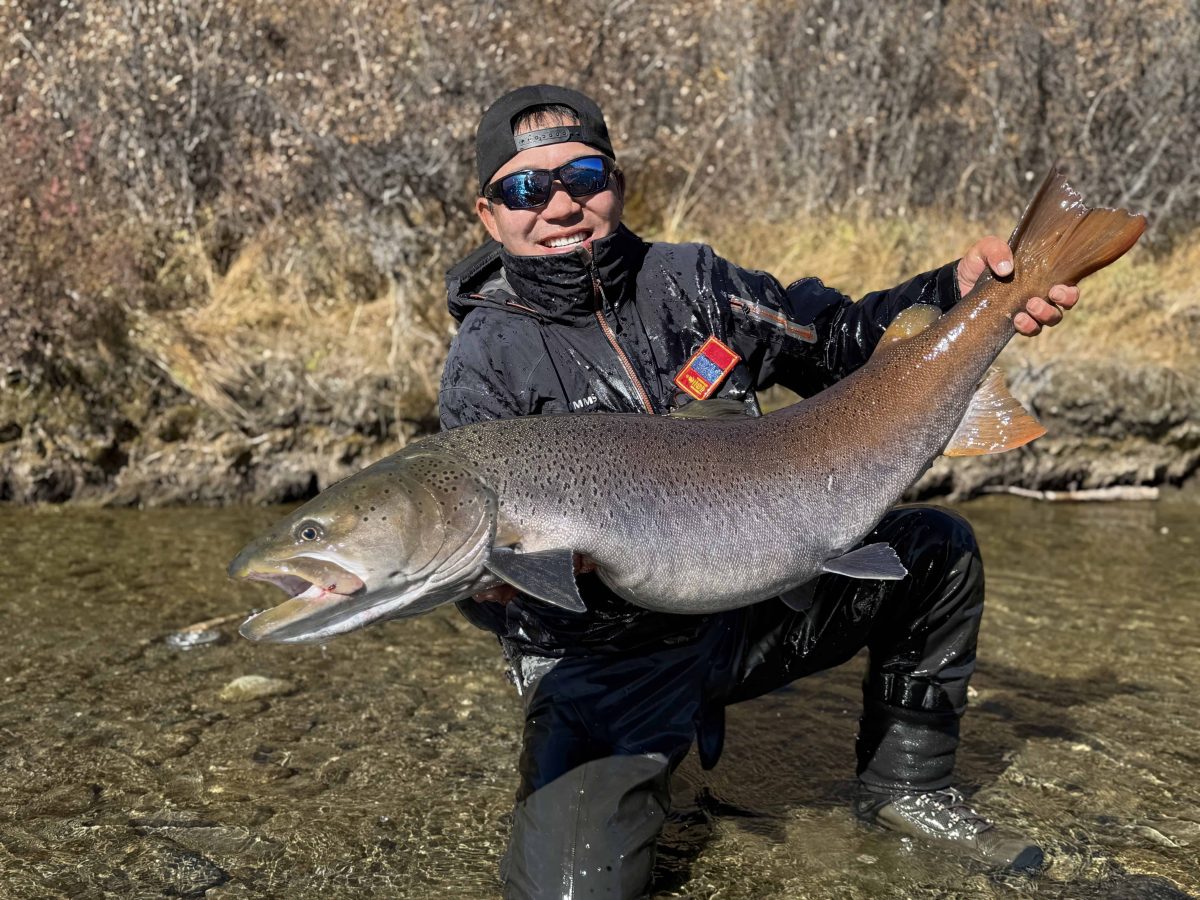 Taimen fishing in Northern Mongolia