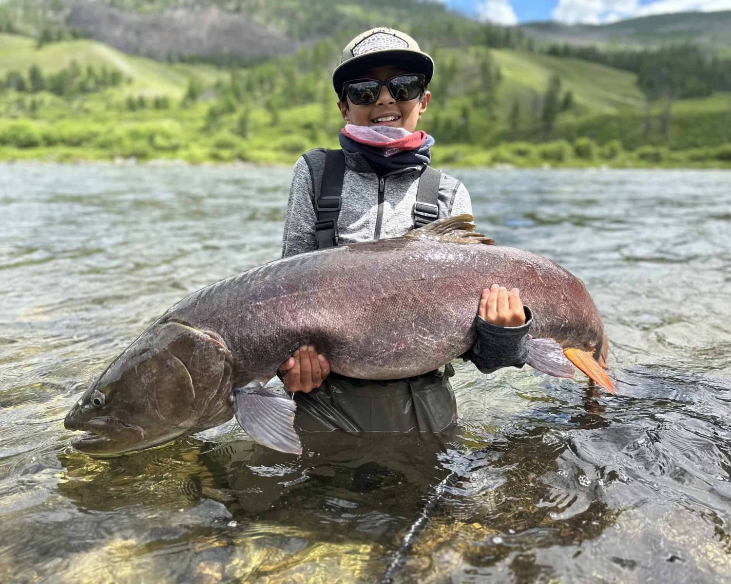 Massive Taimen caught and released by angler