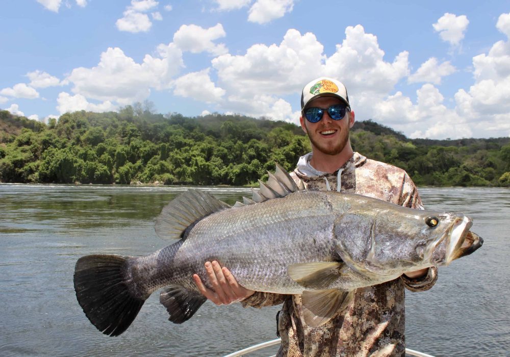 Murchison Falls Nile Perch