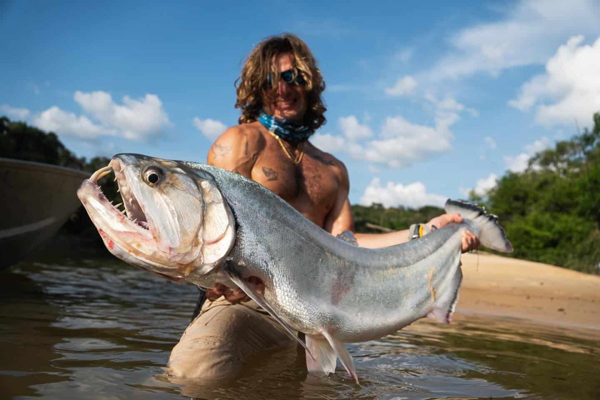 Payara fishing