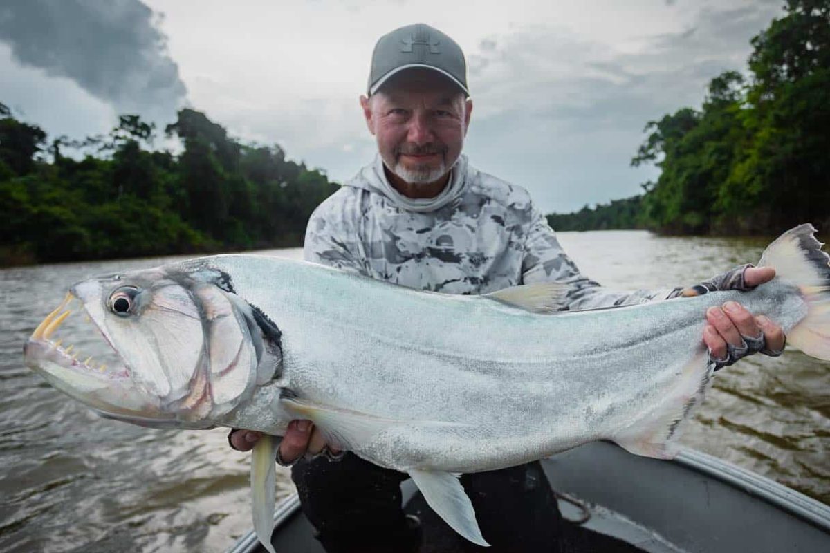 trophy payara caught in colombia