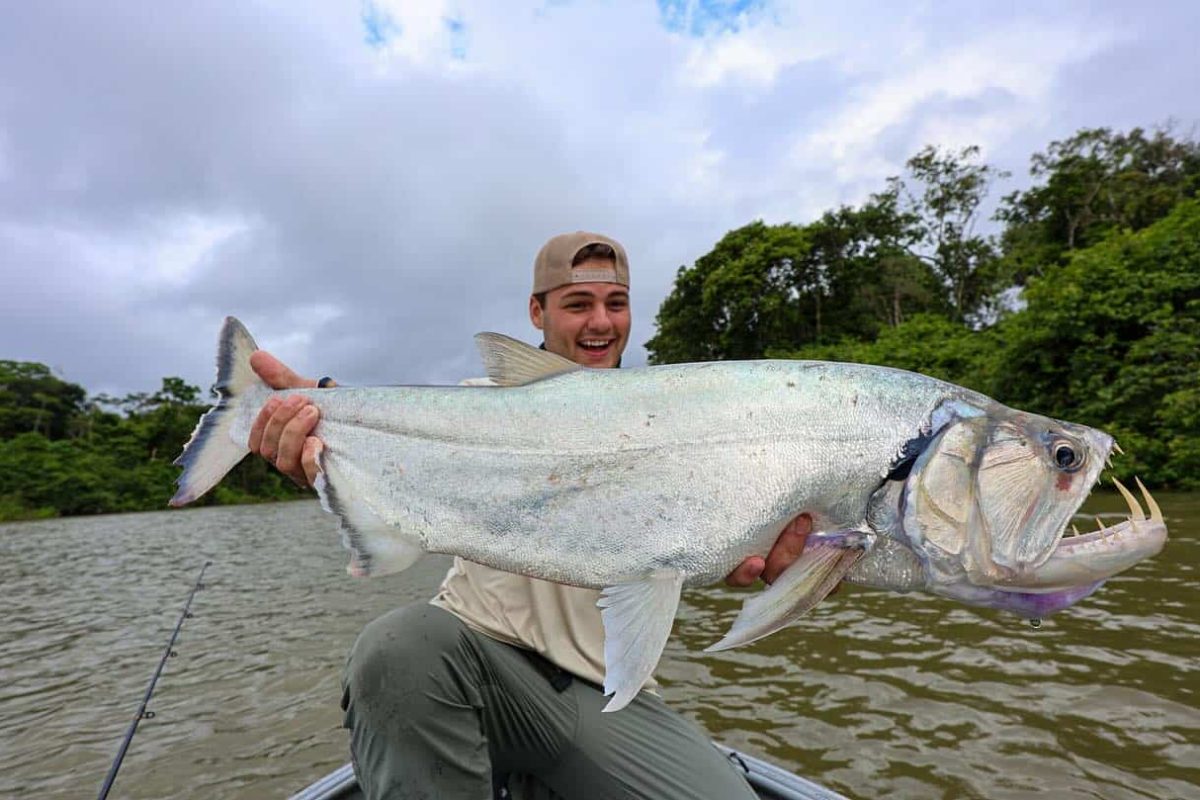 Colombia Payara fishing