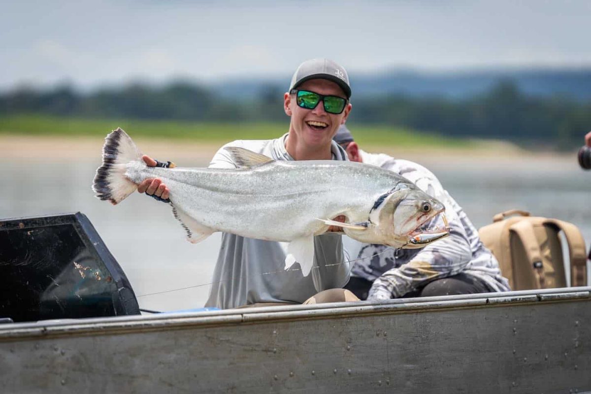 Payara fishing Orinoco River