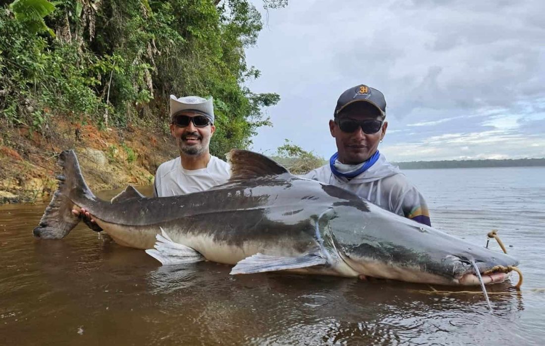 Piraiba Lodge Suriname