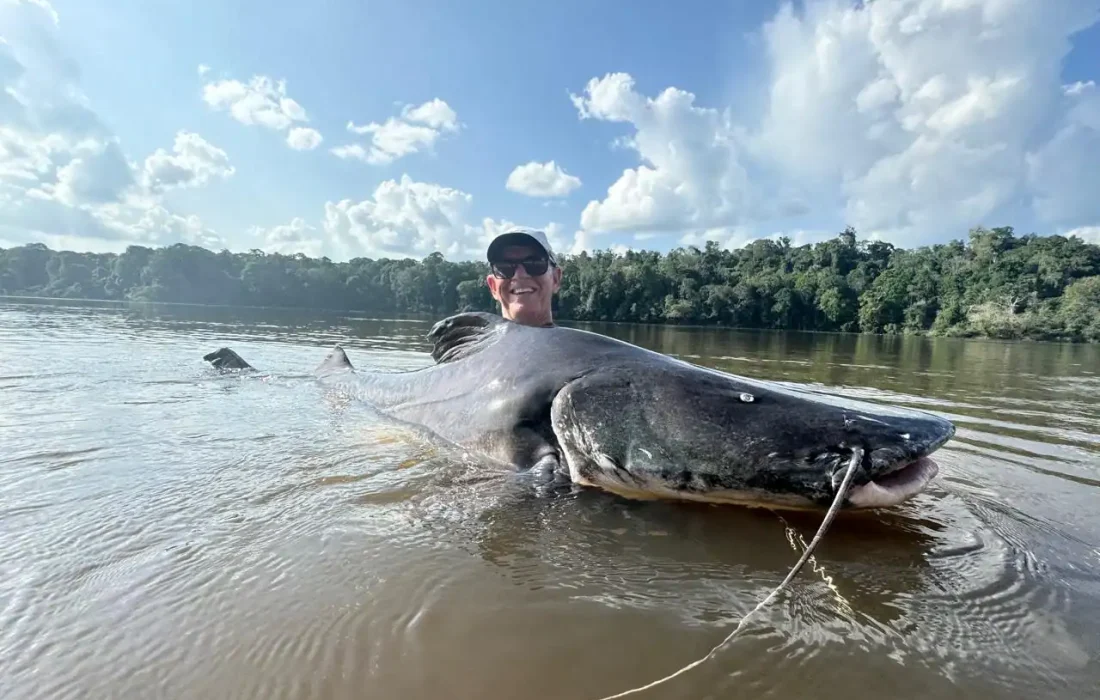 Piraiba Catfish Fishing
