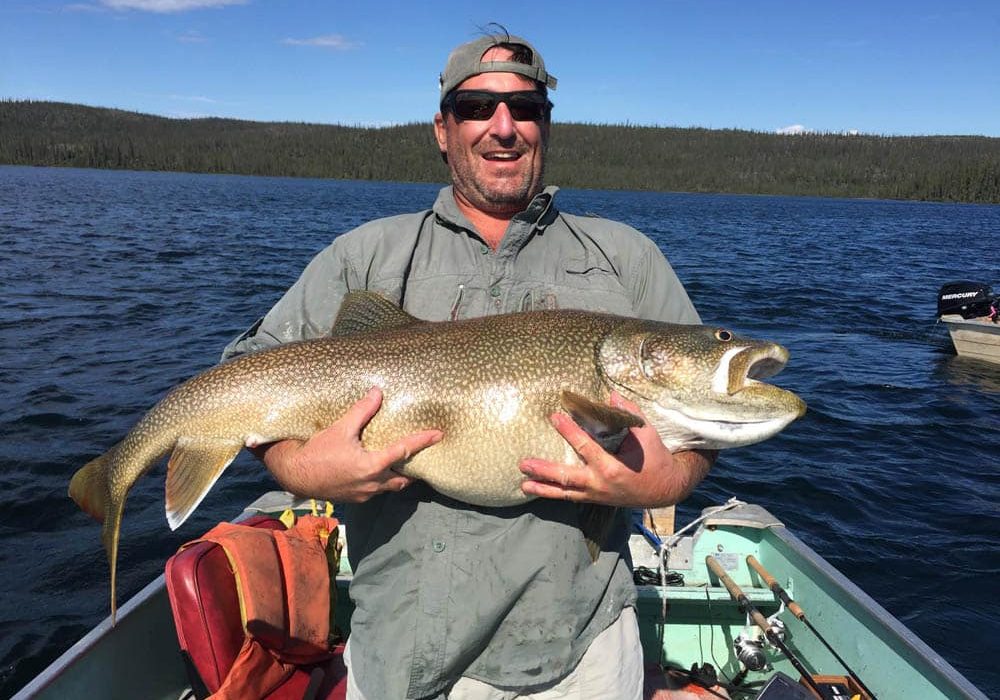 Lake Trout