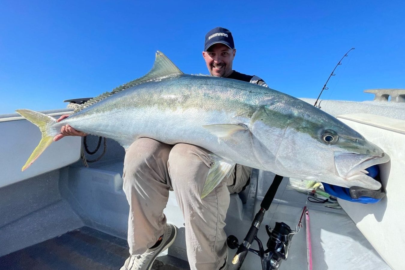 Yellowtail Kingfish caught in Robinson Crusoe Island Chile