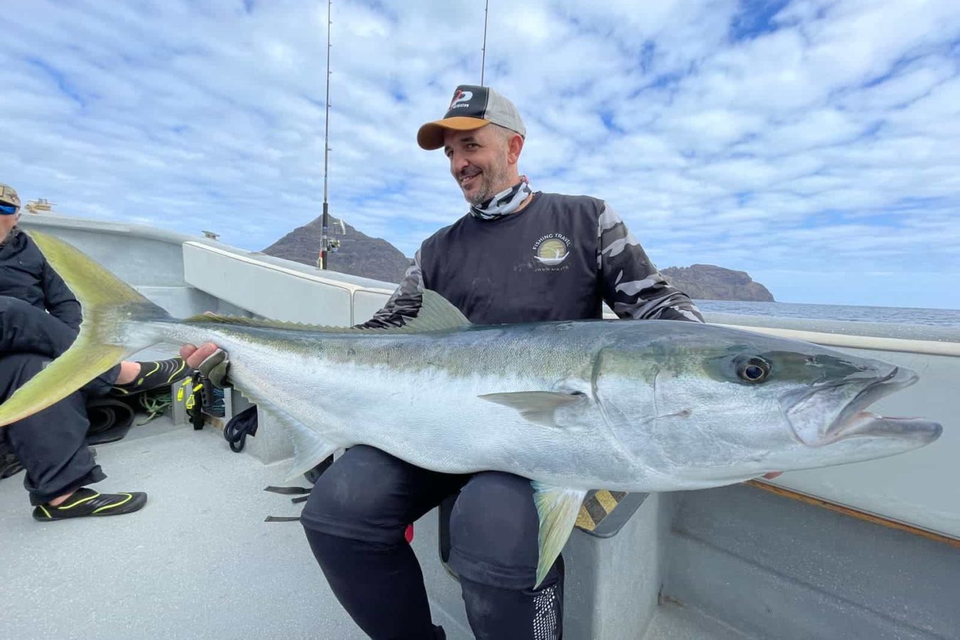 yellowtail kingfish at robinson crusoe