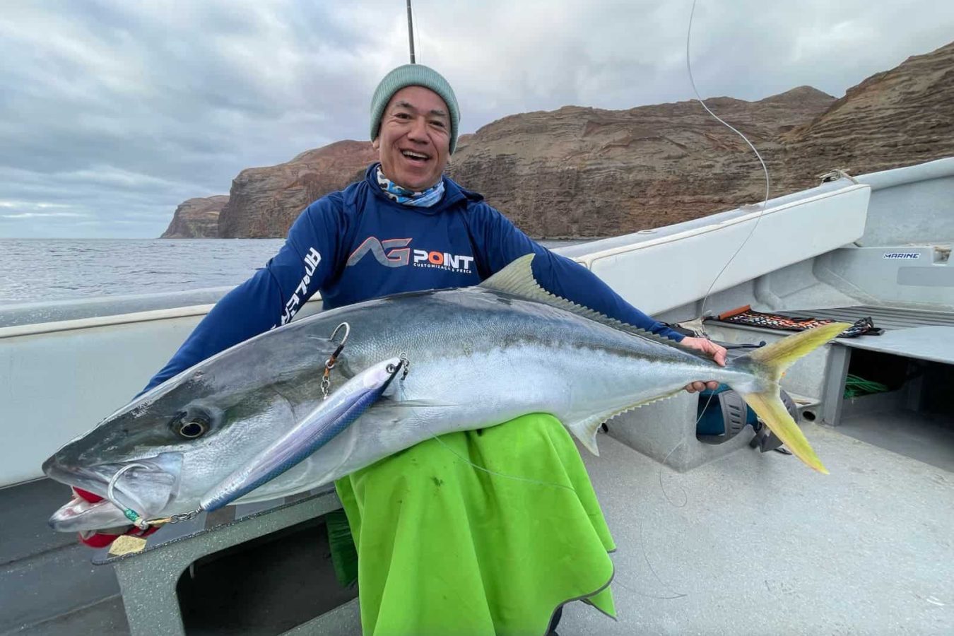 Yellowtail (seriola lalandi) caught at robinson crusoe island