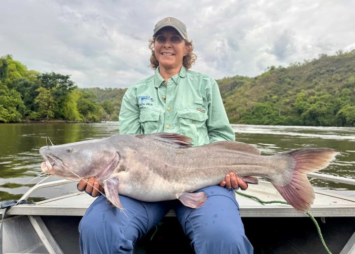 Semutundu Catfish Murchison Falls