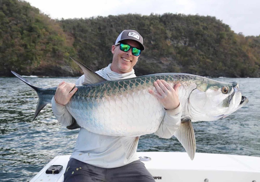 Tarpon in Trinidad