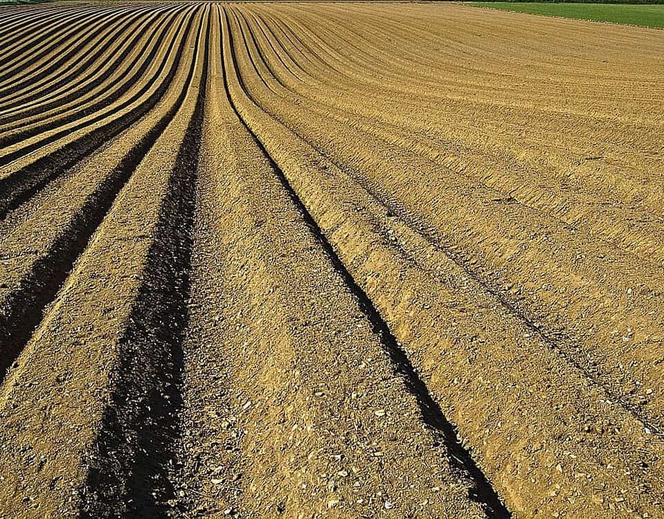 Terricci Fertilizzanti Milano