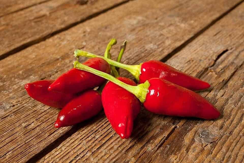 Semi di peperoncino Milano