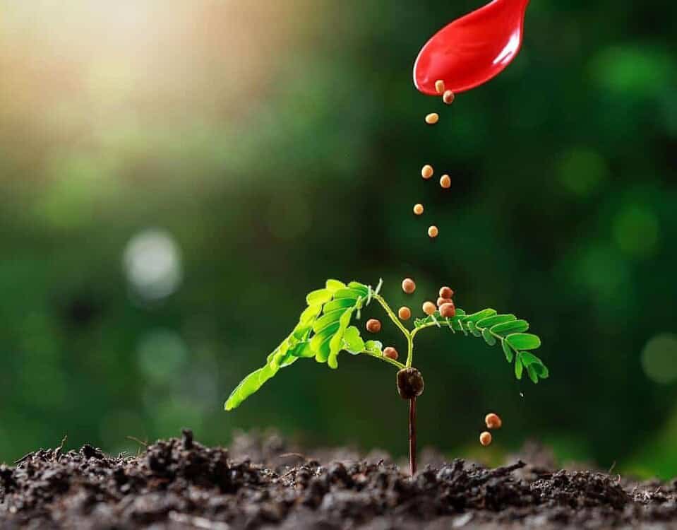 Fertilizers