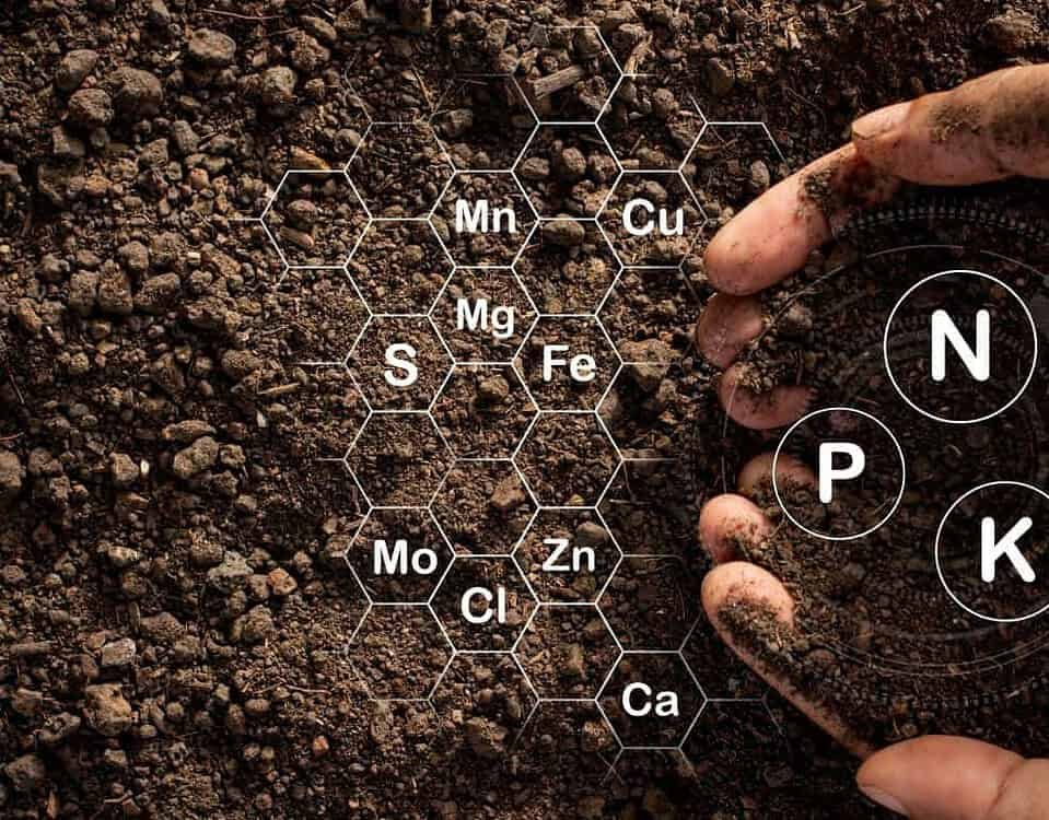 Fertilizzanti sul suolo