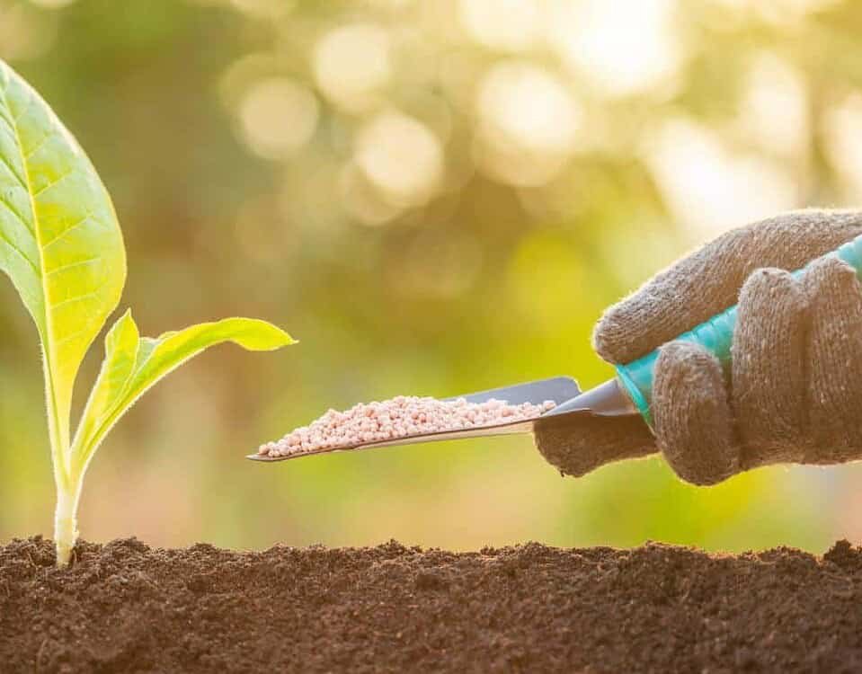 fertilizza la terra