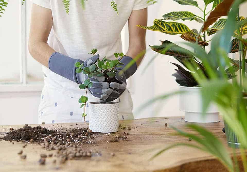 Fertilizzanti Super Soil