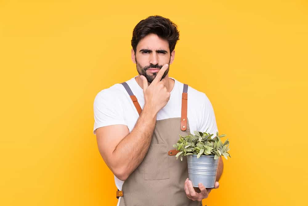 Come si realizza un Super Soil?