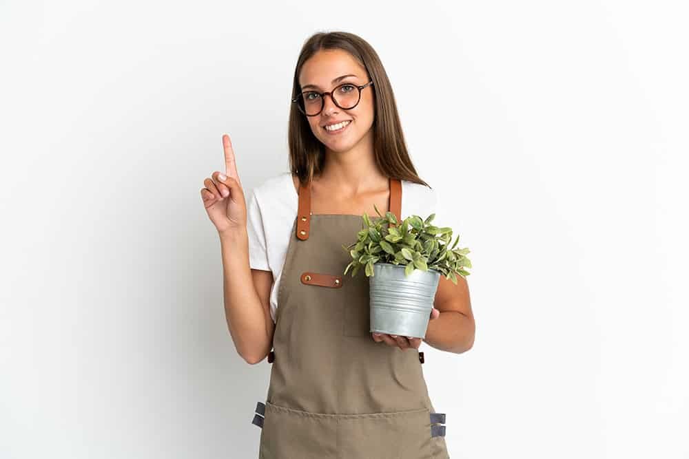 Fertilizzanti Super Soil