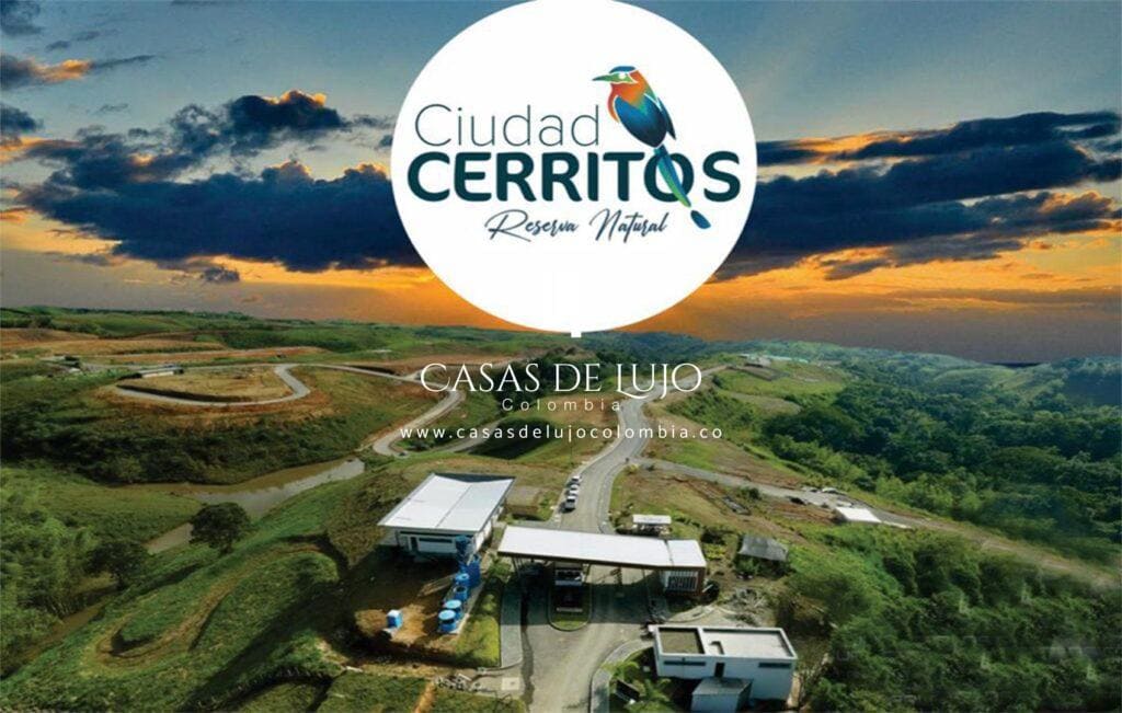 Proyecto, Pereira