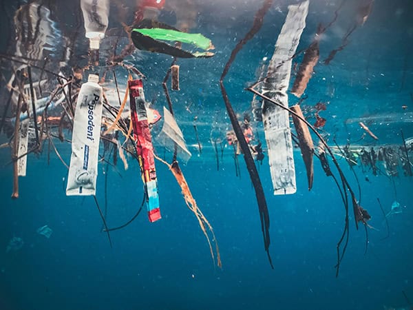 How a lone yachtswoman helped transform waste management