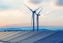 Western Cape investment surge – businesses commit R14,6 billion