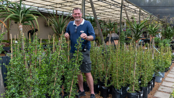 City applauds Cape Garden’s water-wise choices ahead of drier summer