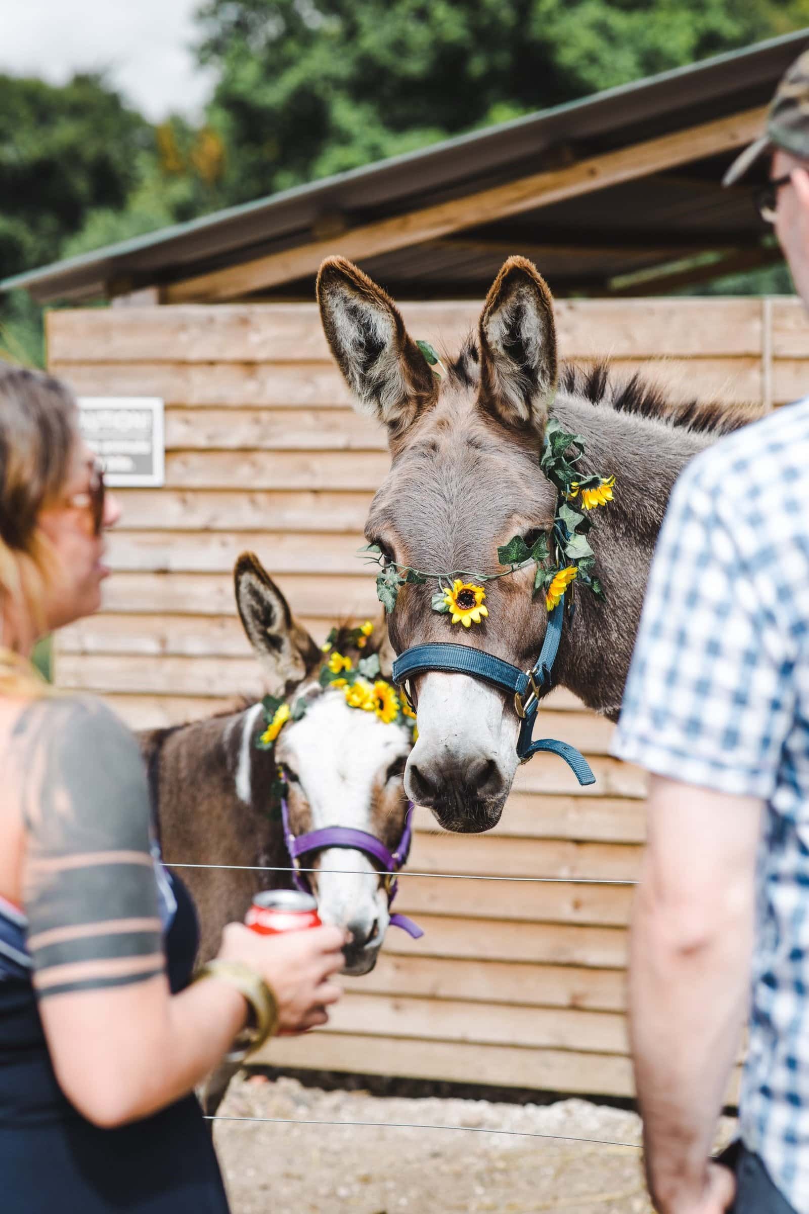 private events photography and party photography in London Reading