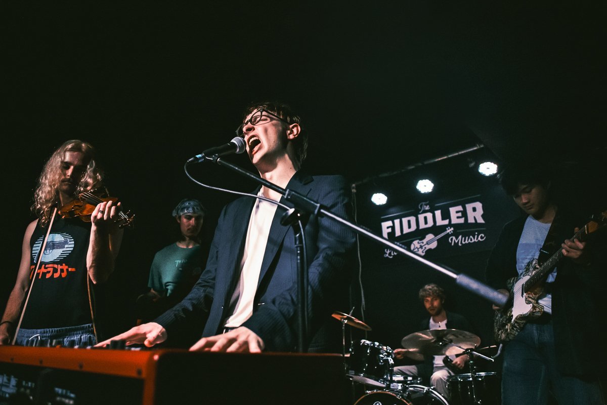 live music photographer london the fiddler kilburn gig reading