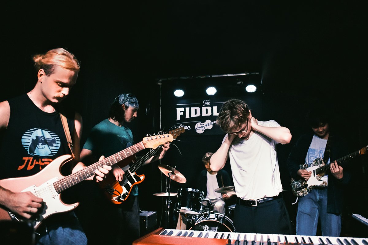 live music photographer london the fiddler kilburn gig reading
