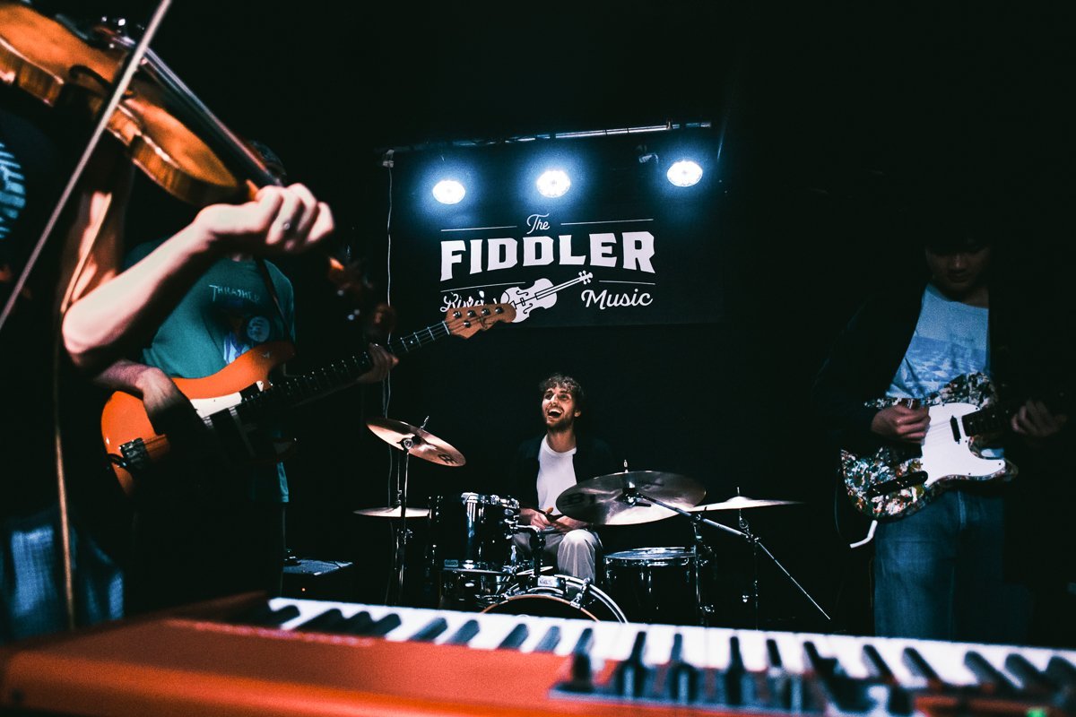 live music photographer london the fiddler kilburn gig reading