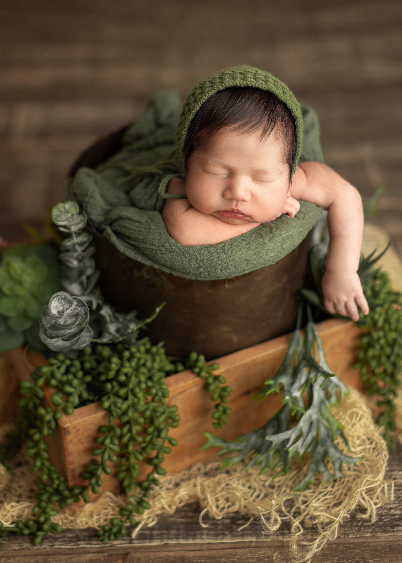 Newborn baby boy taking photos in a greeny set up in Edmonton