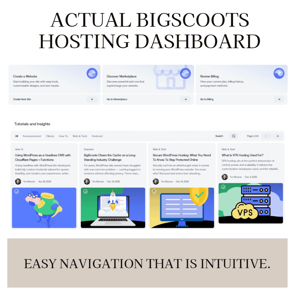 Actual BigScoots Hosting Dashboard