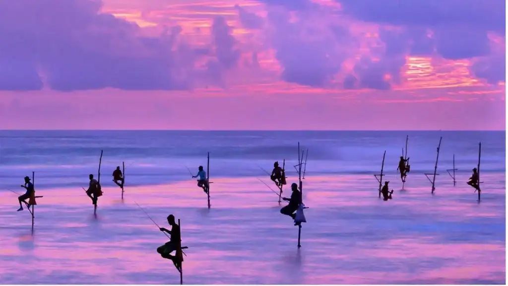 Weligama Beach Surfing