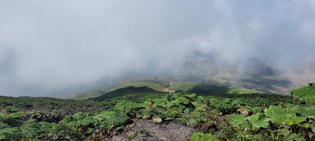 volcano conecpcion trail 