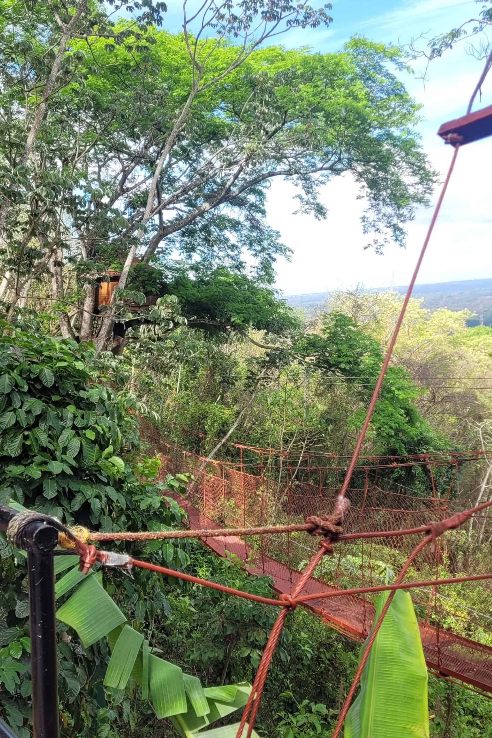 Tree House Nicaragua