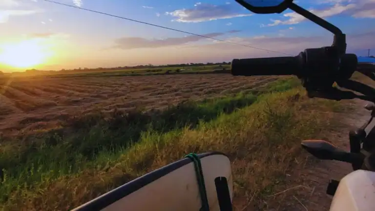 surfboard on a scooter sunset