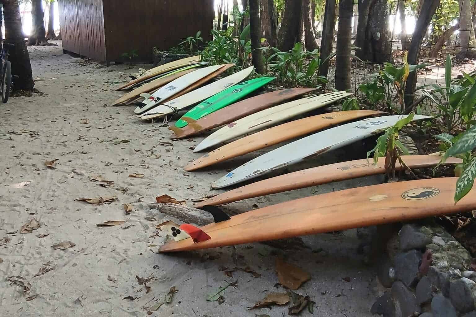 Surfboards lined up on the sandy path from Zeneidas Surf Garden hostel to the beach in Santa Teresa, Costa Rica