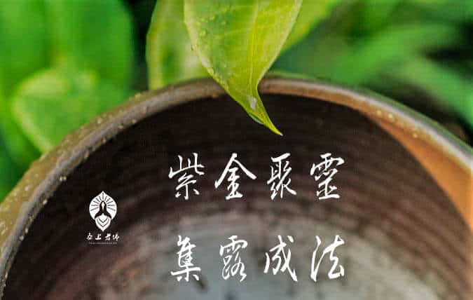 （香港）老佛爺人緣油/姻緣油製作過程——集露取材萬般難