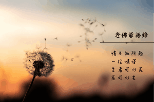 老佛爺語錄