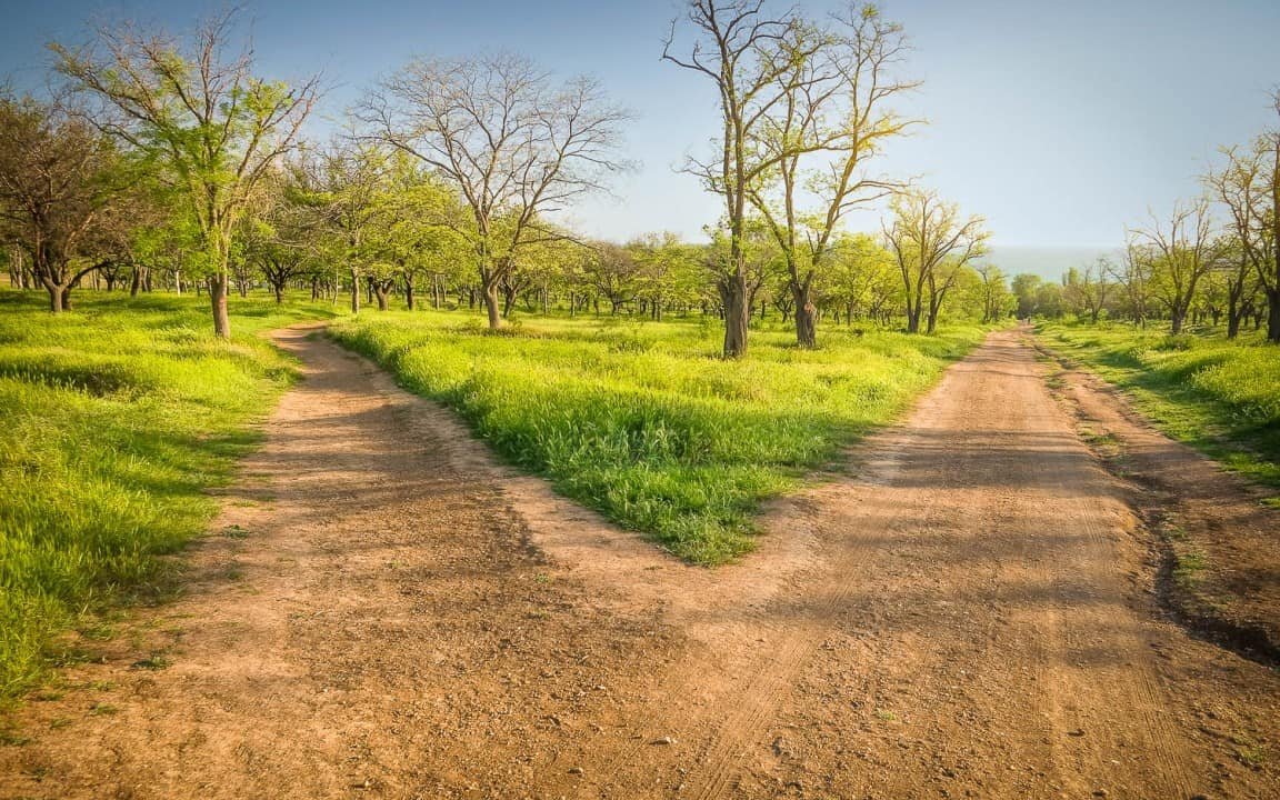 A dirt path in a lush green park with trees, sunrise lighting, and a peaceful outdoor scene.