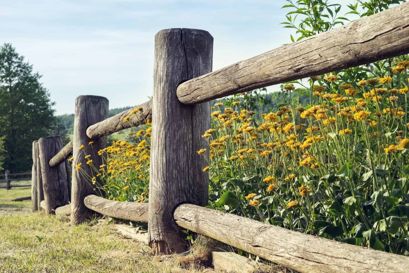 Boundaries, fences in fields