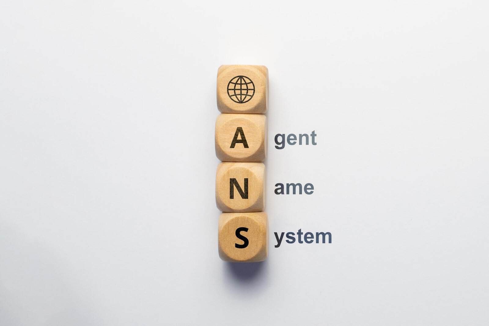 Agent Name System