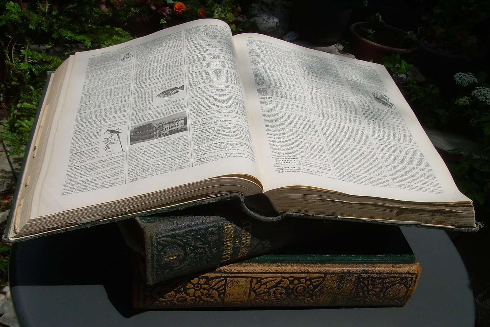 Open reference book with detailed text and illustrations placed outdoors on a table surrounded by greenery.